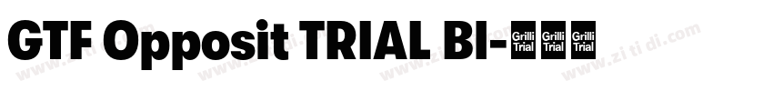 GTF Opposit TRIAL Bl字体转换